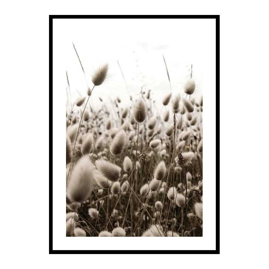 Poster Gallerix Reeds Field