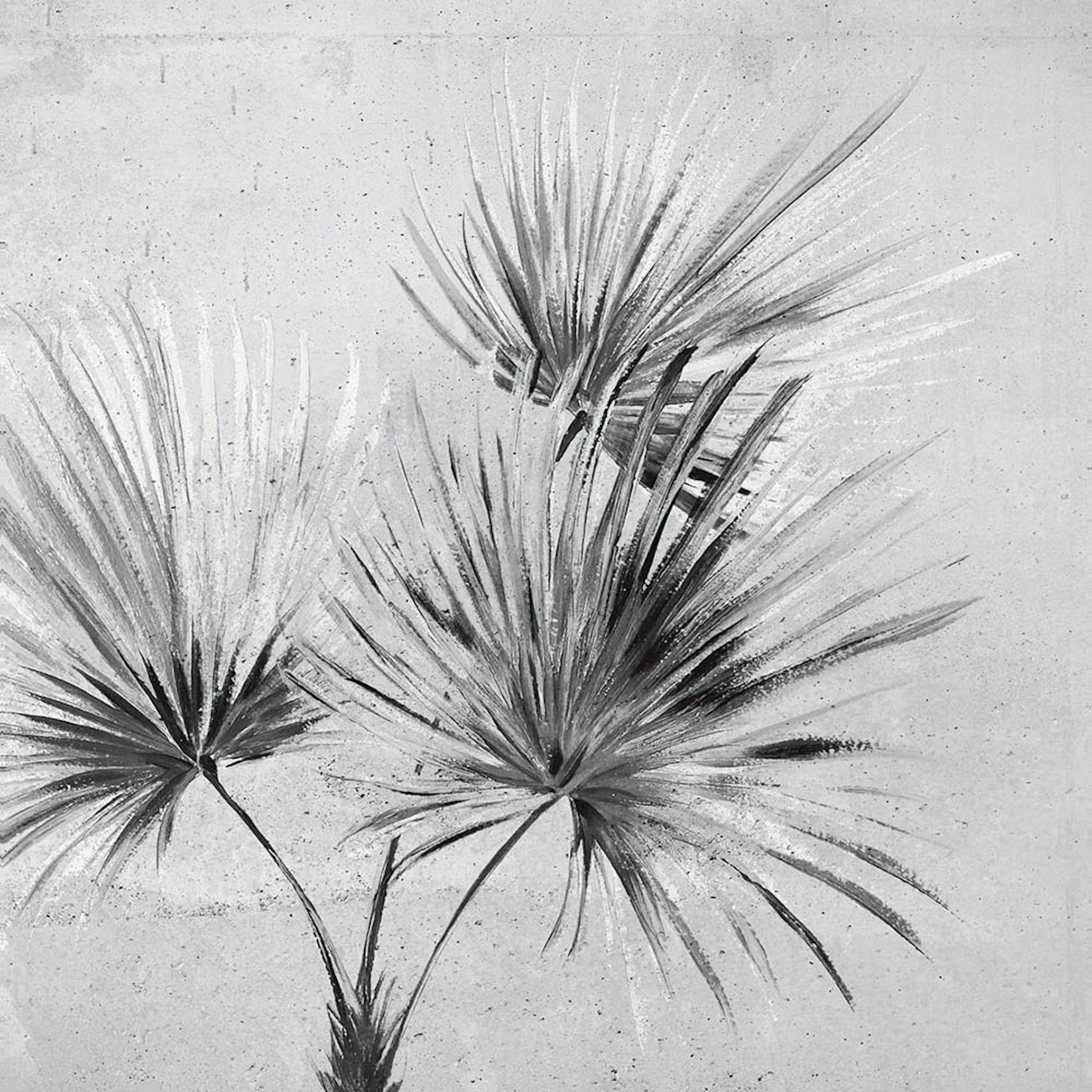 Fototapet Eijffinger Terra 391567