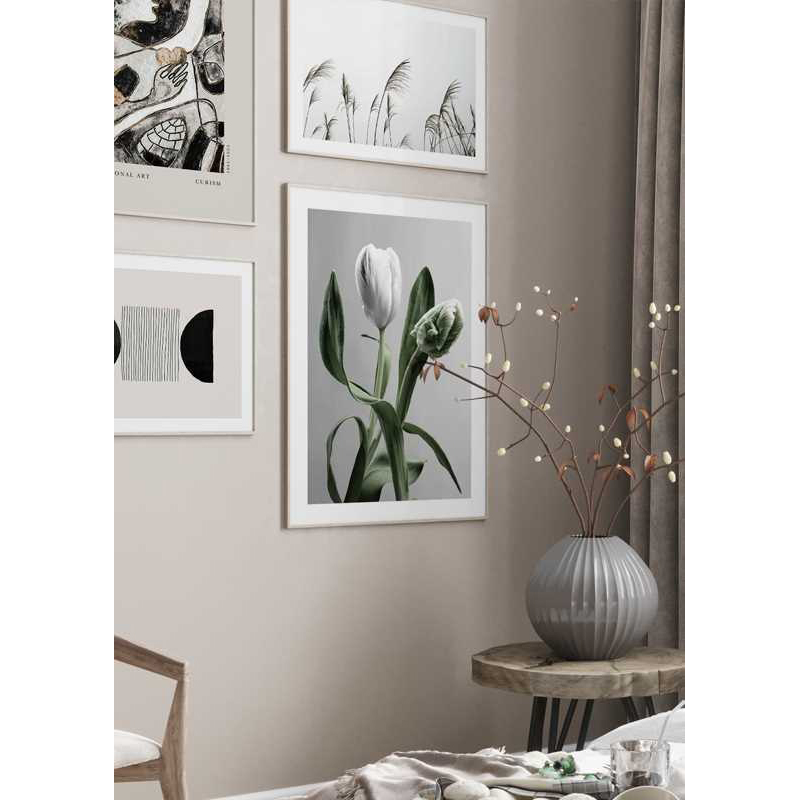 Poster Gallerix Tulip Flower