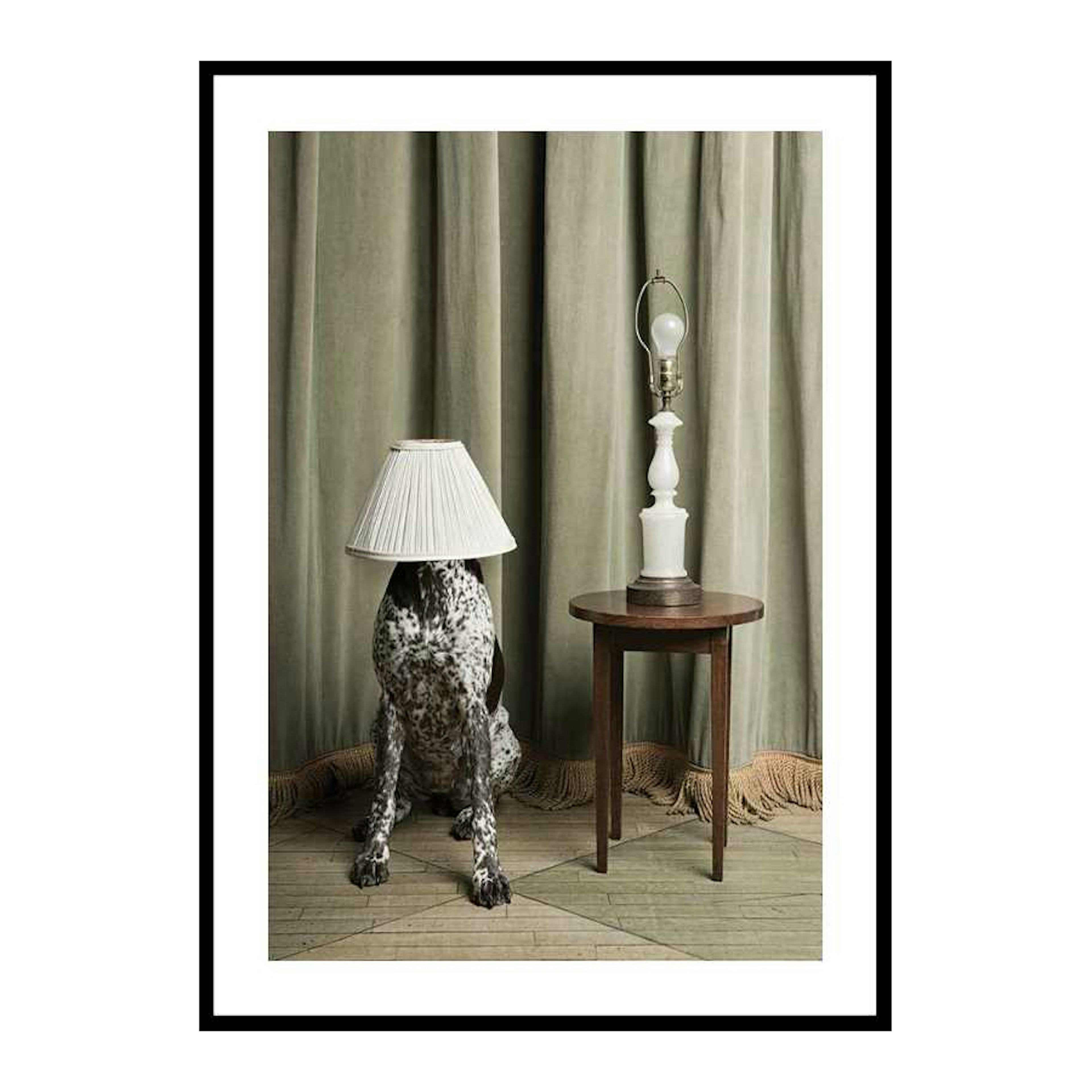 Poster Gallerix Hiding In Plain Sight