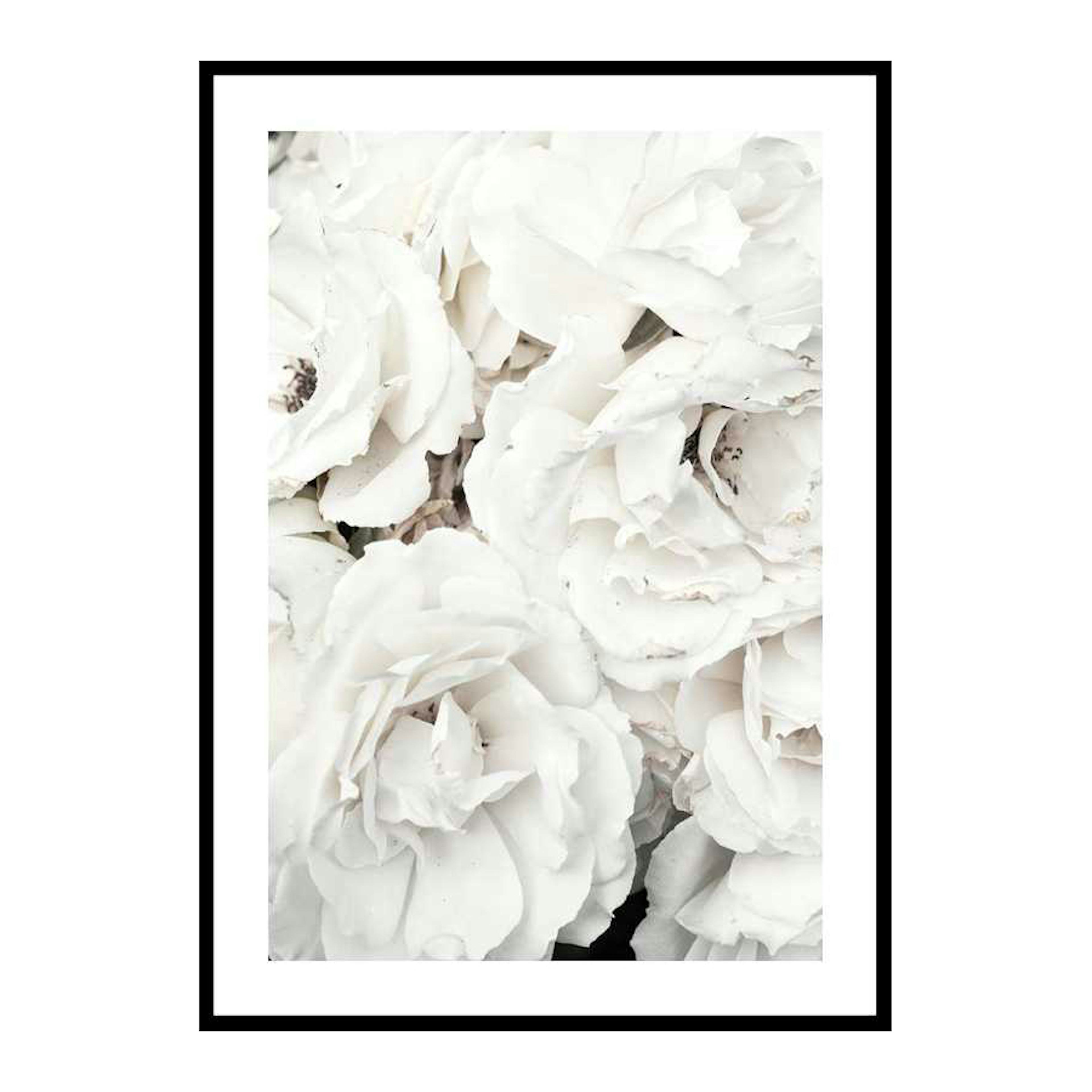 Poster Gallerix Bouquet Of White Peonies