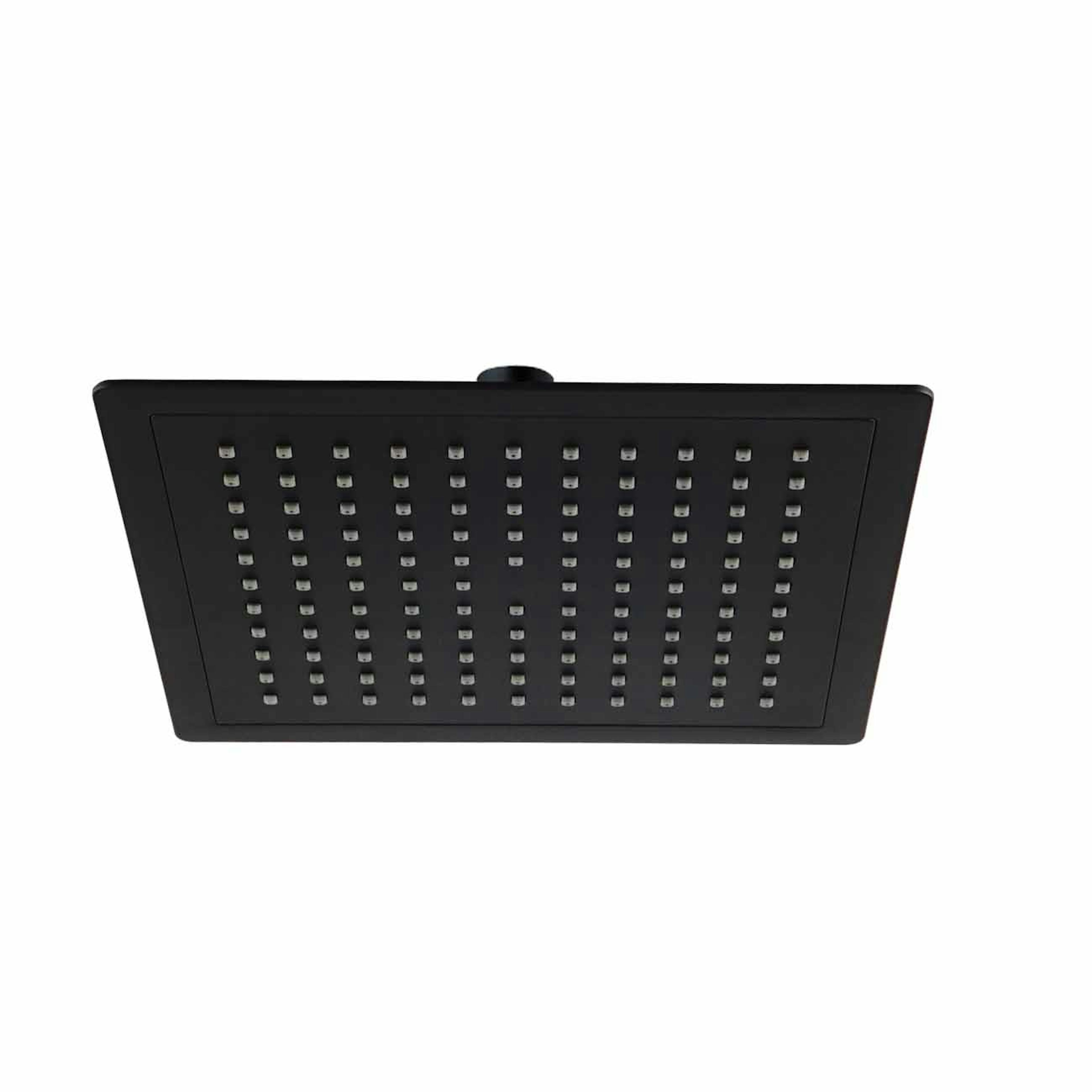 Taksil Bathlife Dagg