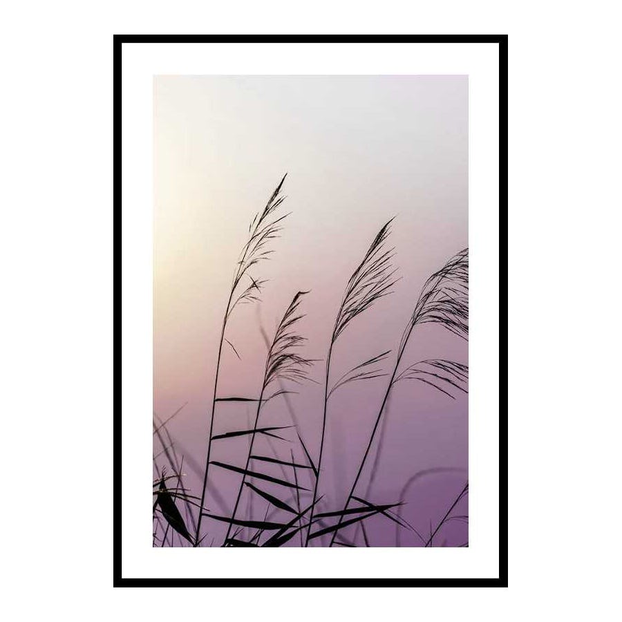Poster Gallerix Weeds In Sunset