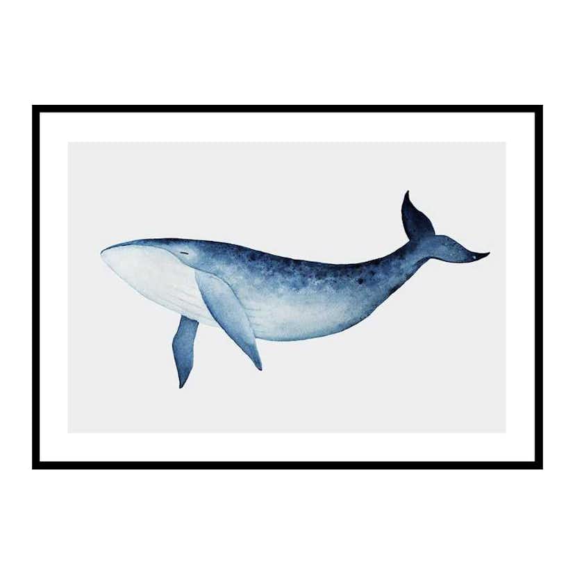 Poster Gallerix Watercolor Whale