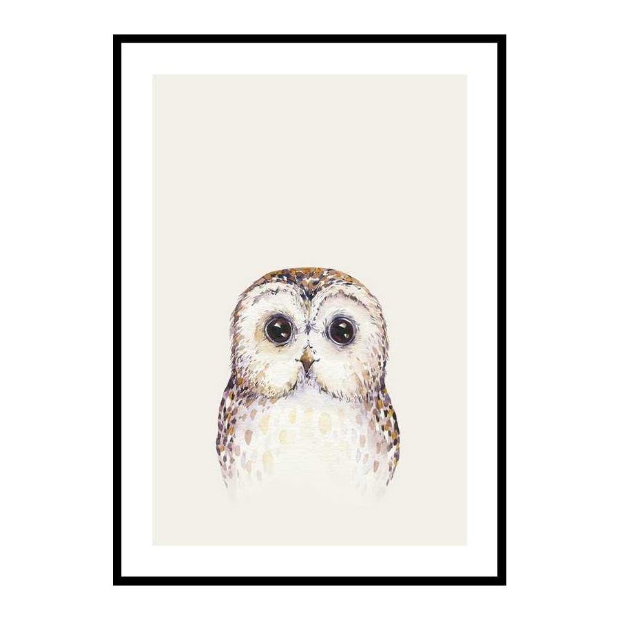 Poster Gallerix Peekaboo Owl