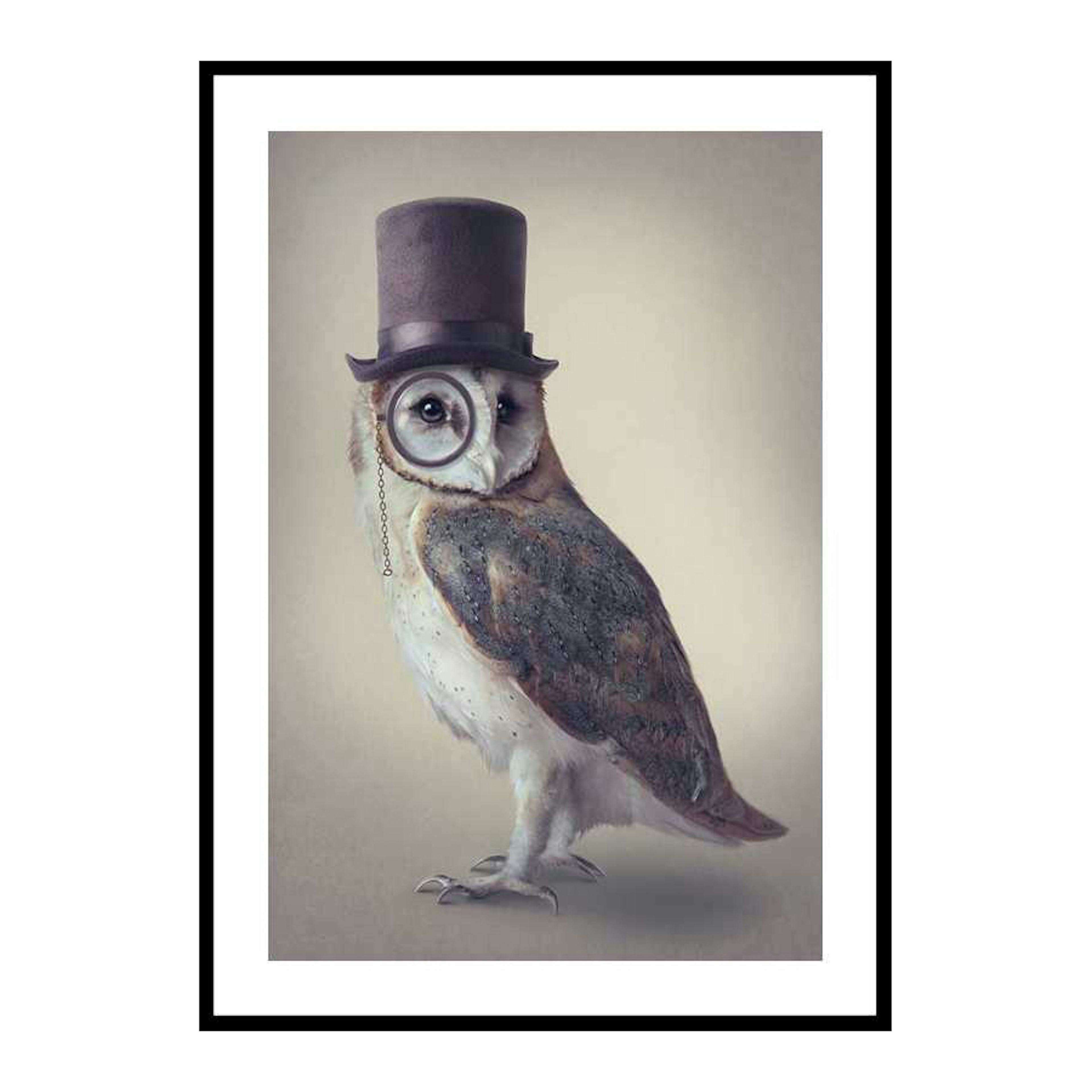 Poster Gallerix Potter Owl