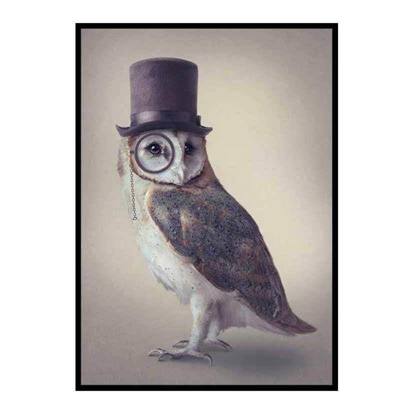 Poster Gallerix Potter Owl