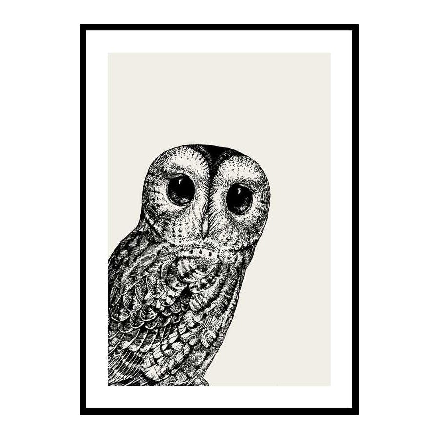 Poster Gallerix Watching owl