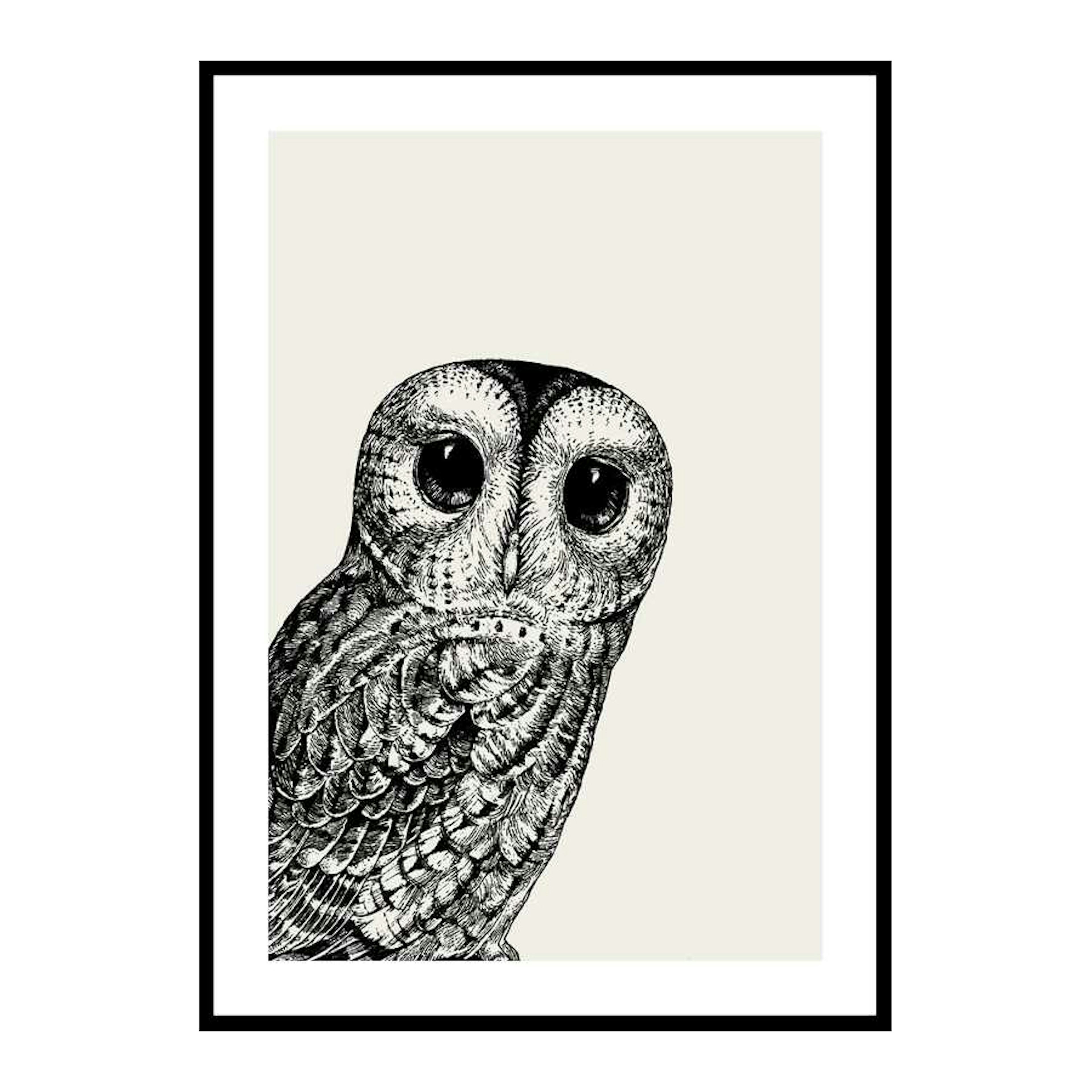 Poster Gallerix Watching owl