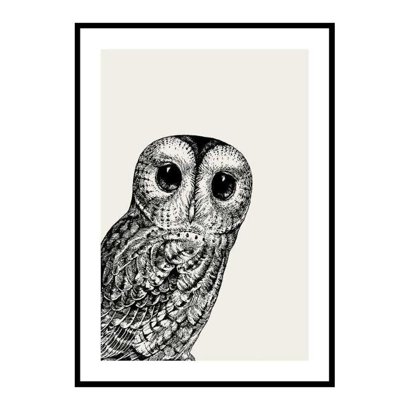 Poster Gallerix Watching owl