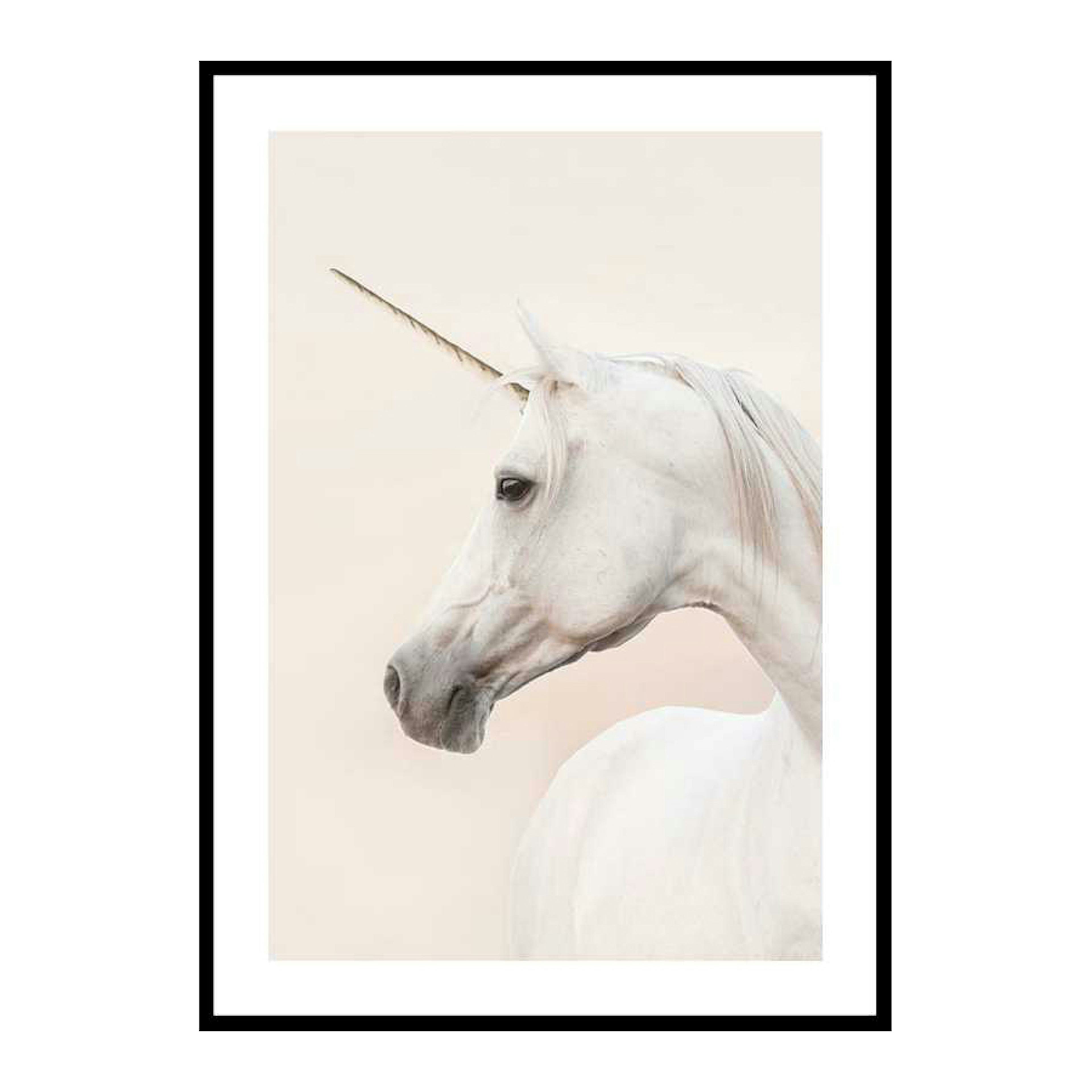 Poster Gallerix Unicorn