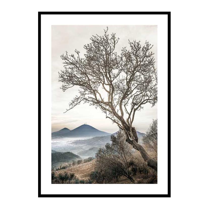 Poster Gallerix Lonely Tree Against Sky