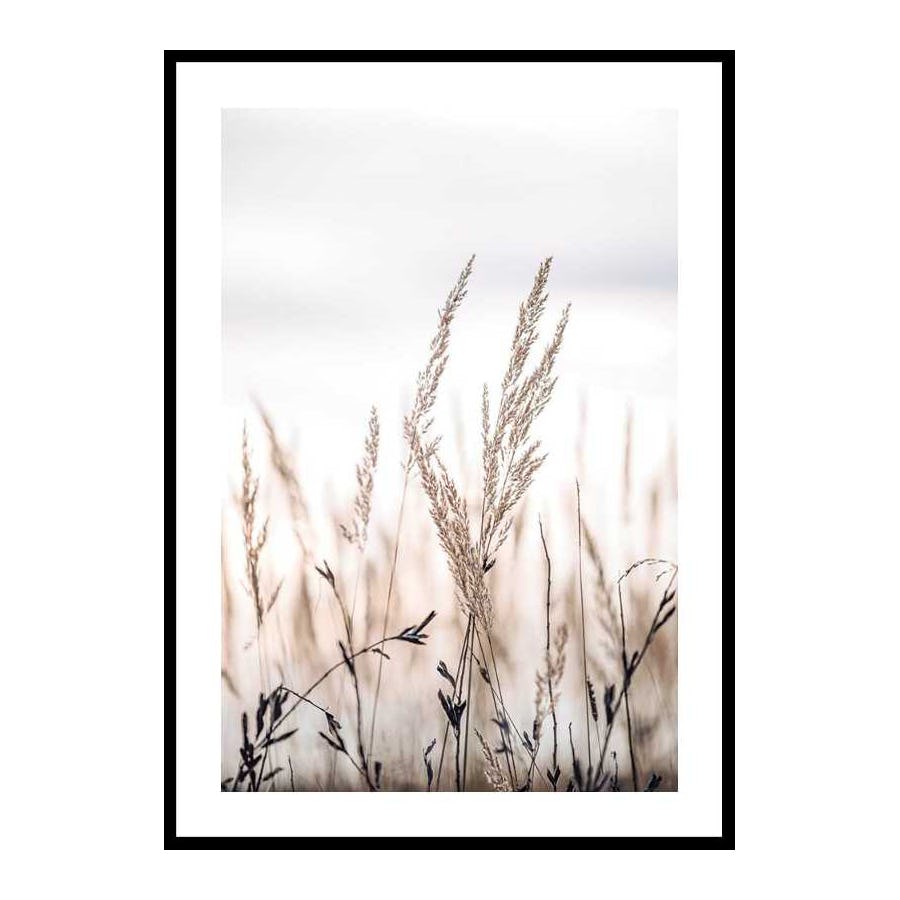 Poster Gallerix Sunset In The Field