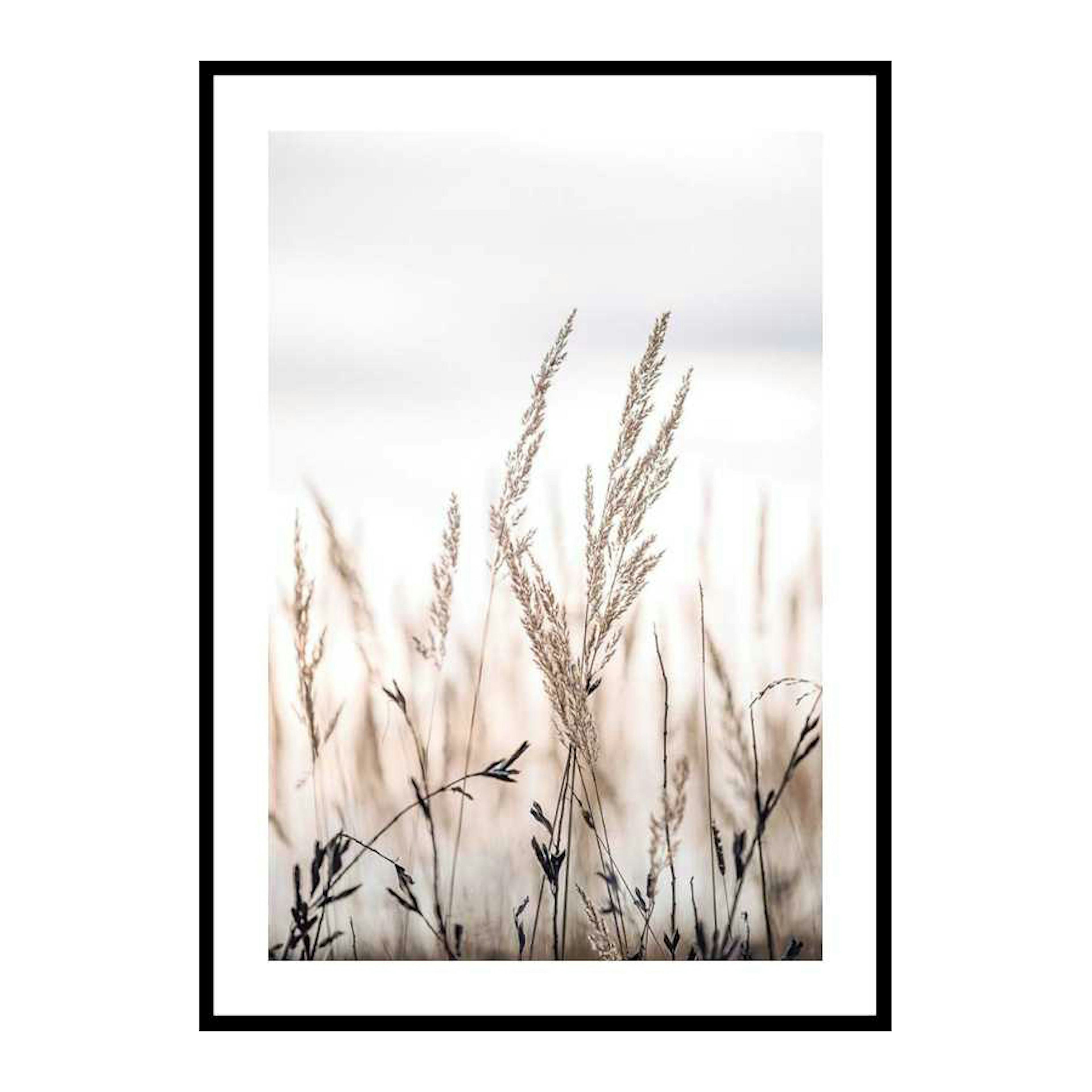 Poster Gallerix Sunset In The Field