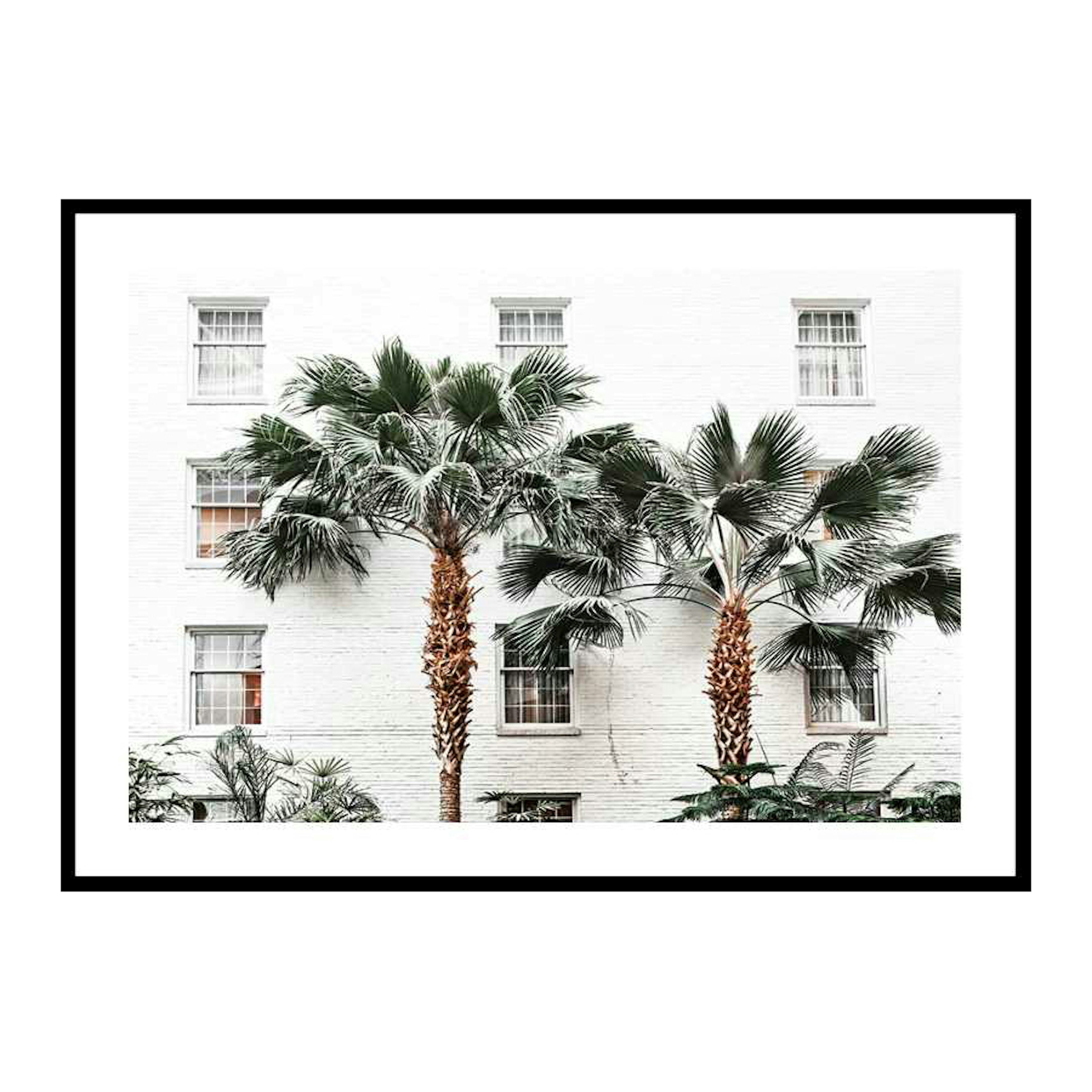 Poster Gallerix City Palms