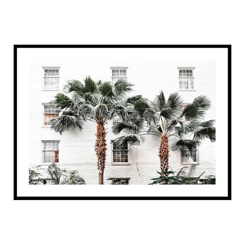 Poster Gallerix City Palms