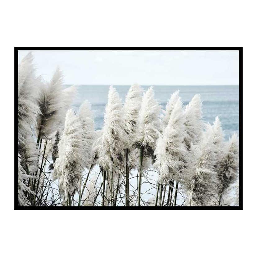 Poster Gallerix Toitoi Grass