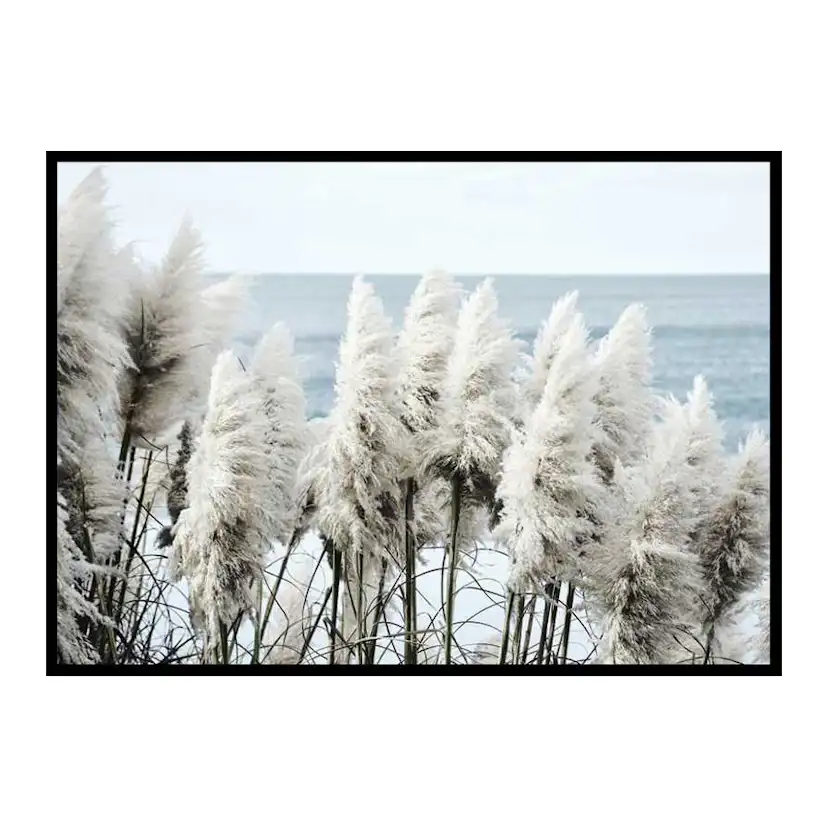 Poster Gallerix Toitoi Grass