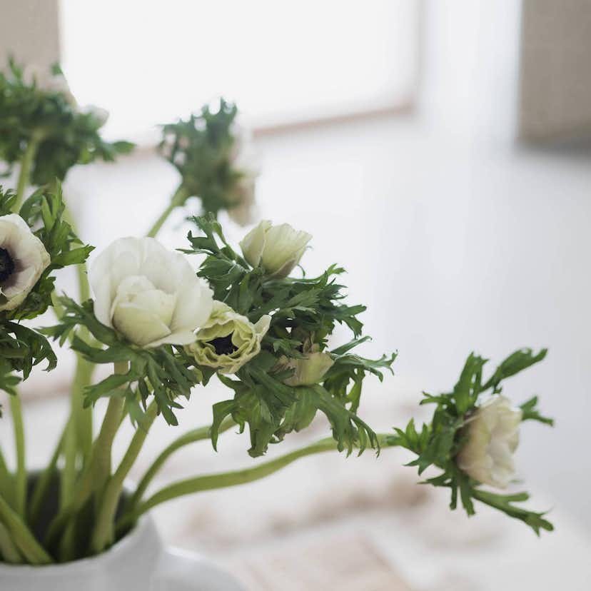 Tapet Boråstapeter Sjöhagen 4191