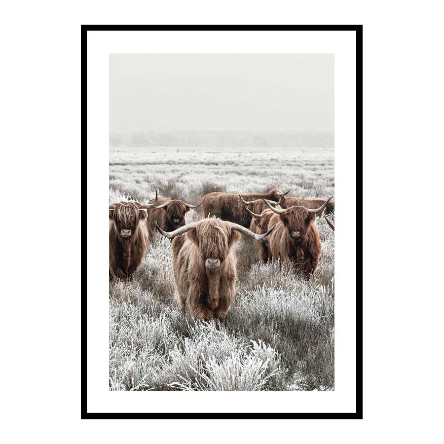 Poster Gallerix Scottish Highlanders