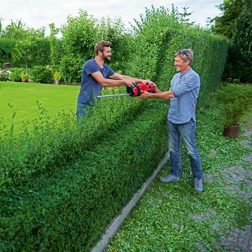 Häcksax WOLF-Garten Lycos 40/600 H