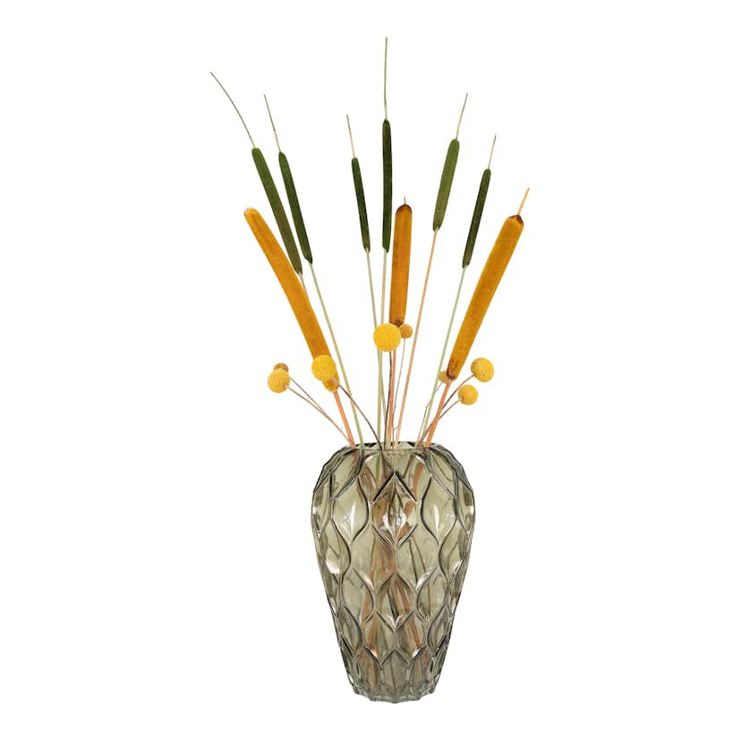 Vas House Nordic Hive