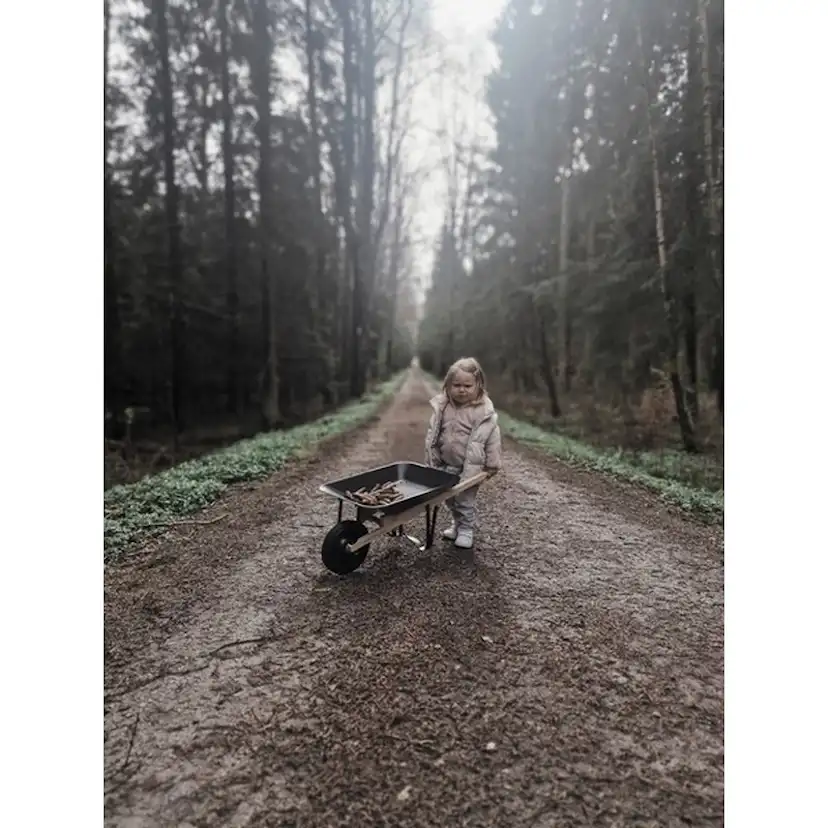 Skottkärra By Benson Mini