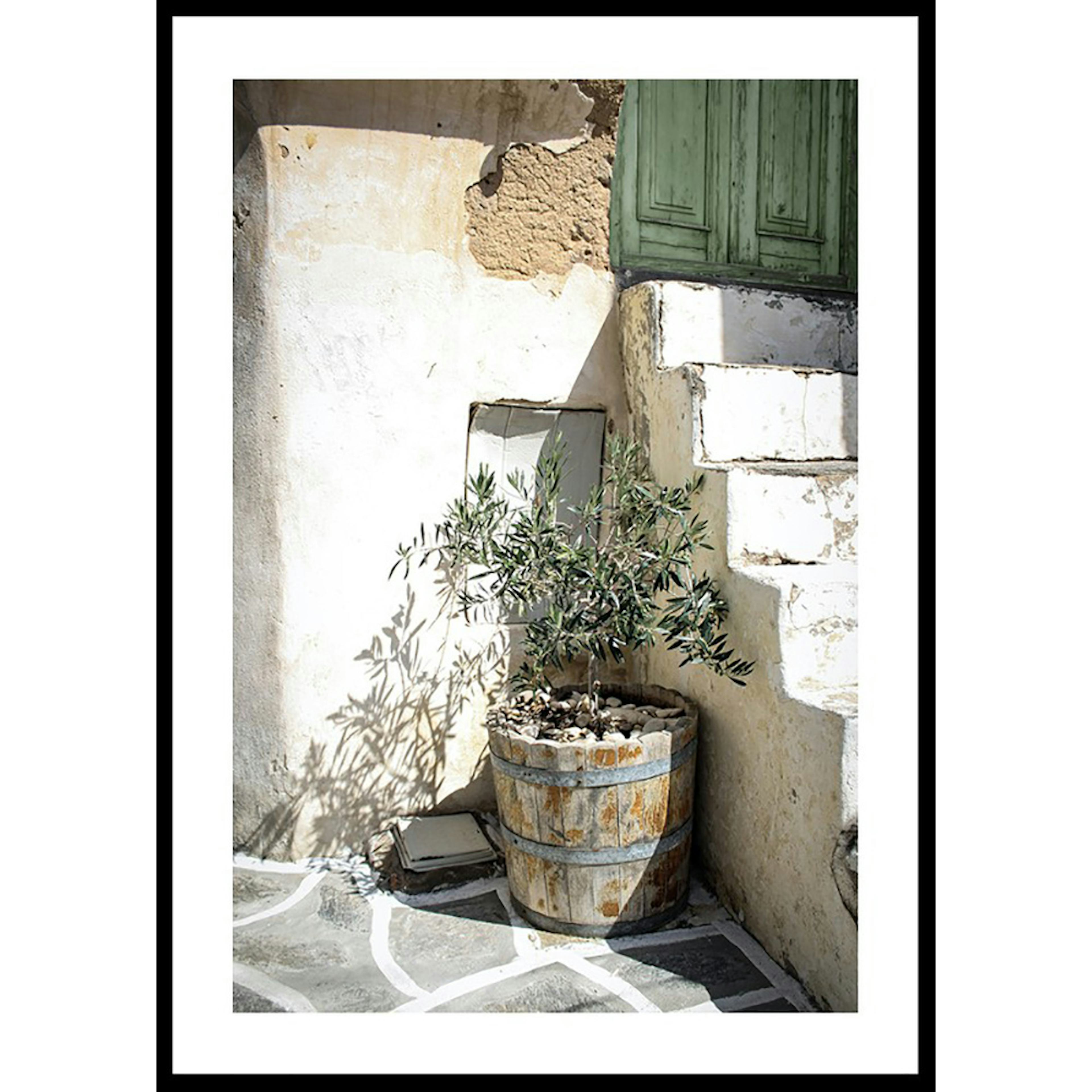 Poster Gallerix Olive Tree Entrance