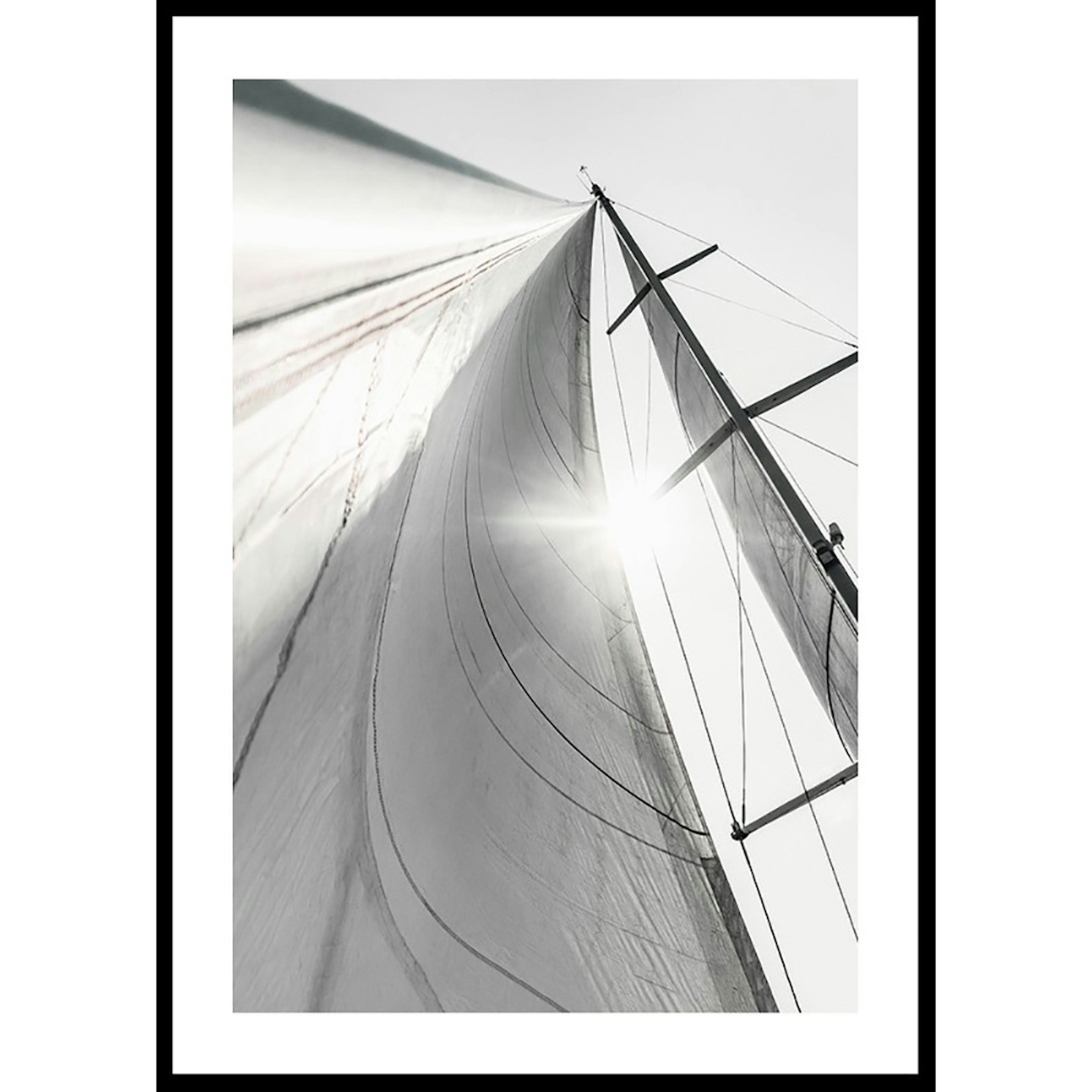 Poster Gallerix Sail In Sunlight