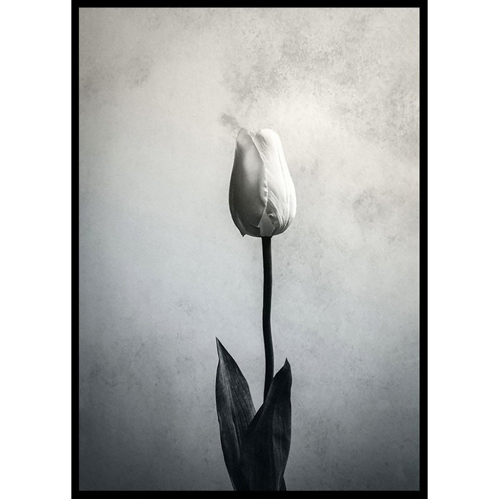 Poster Gallerix Serendipity