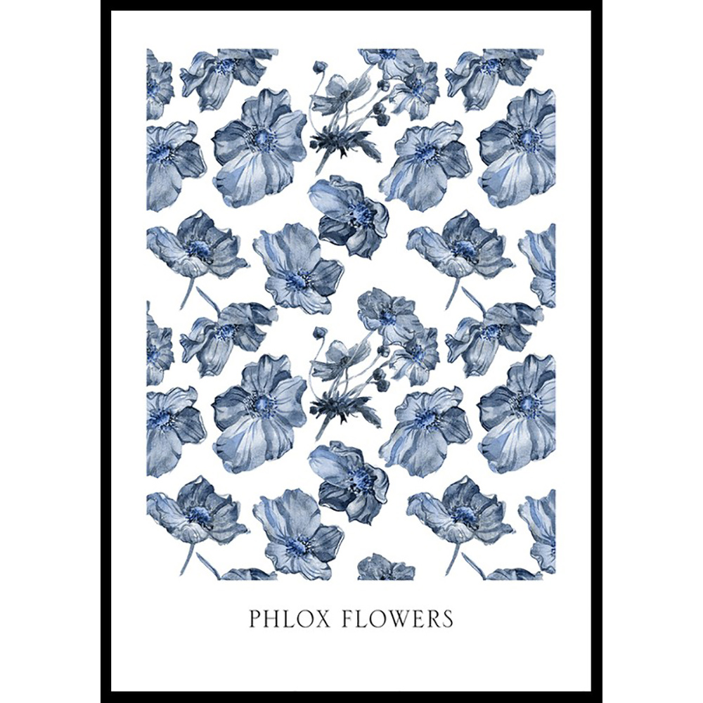 Poster Gallerix Phlox Flowers