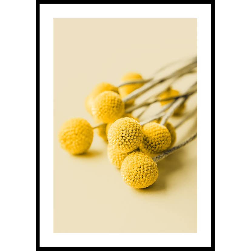 Poster Gallerix Drumstick Flowers