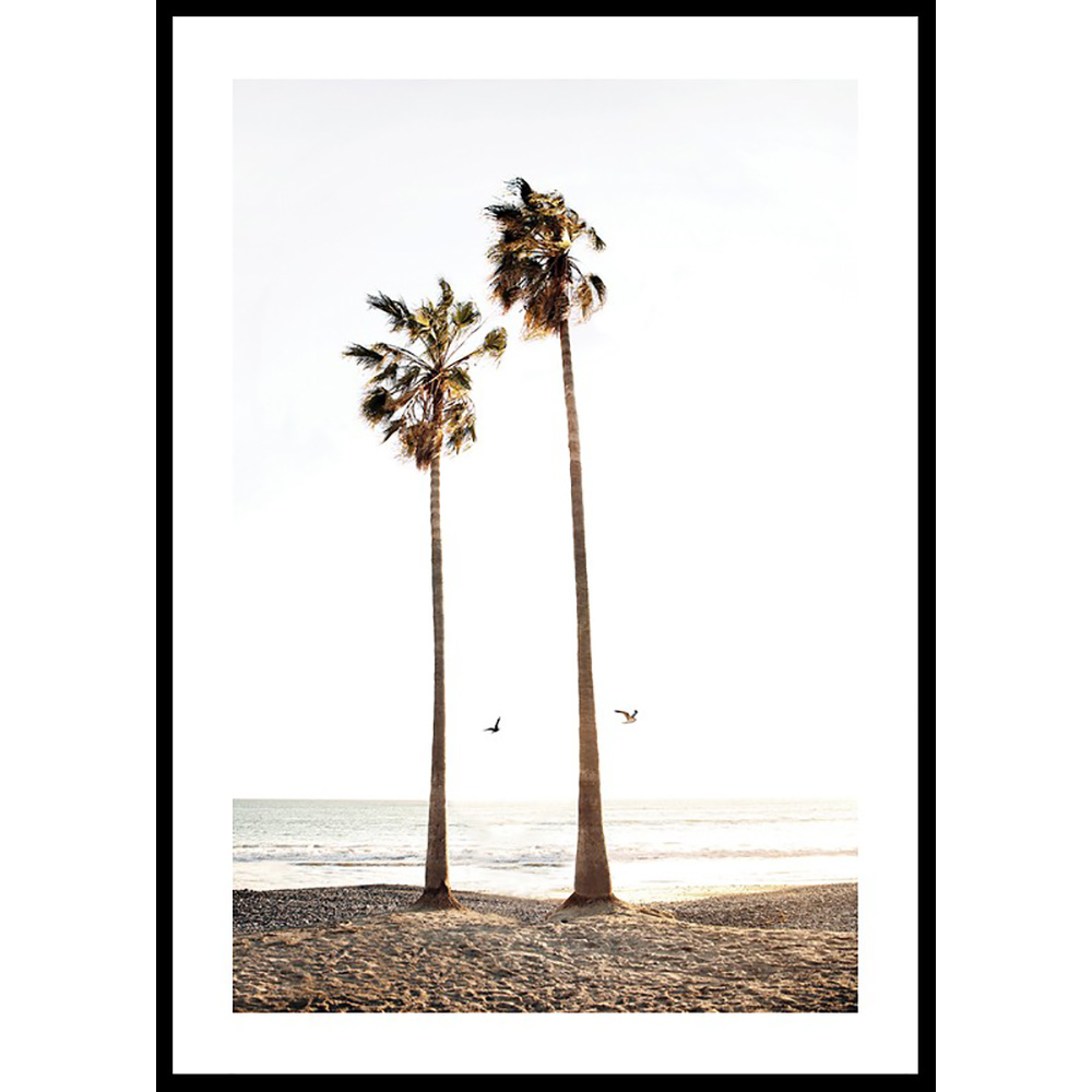 Poster Gallerix Paradise Palm Trees
