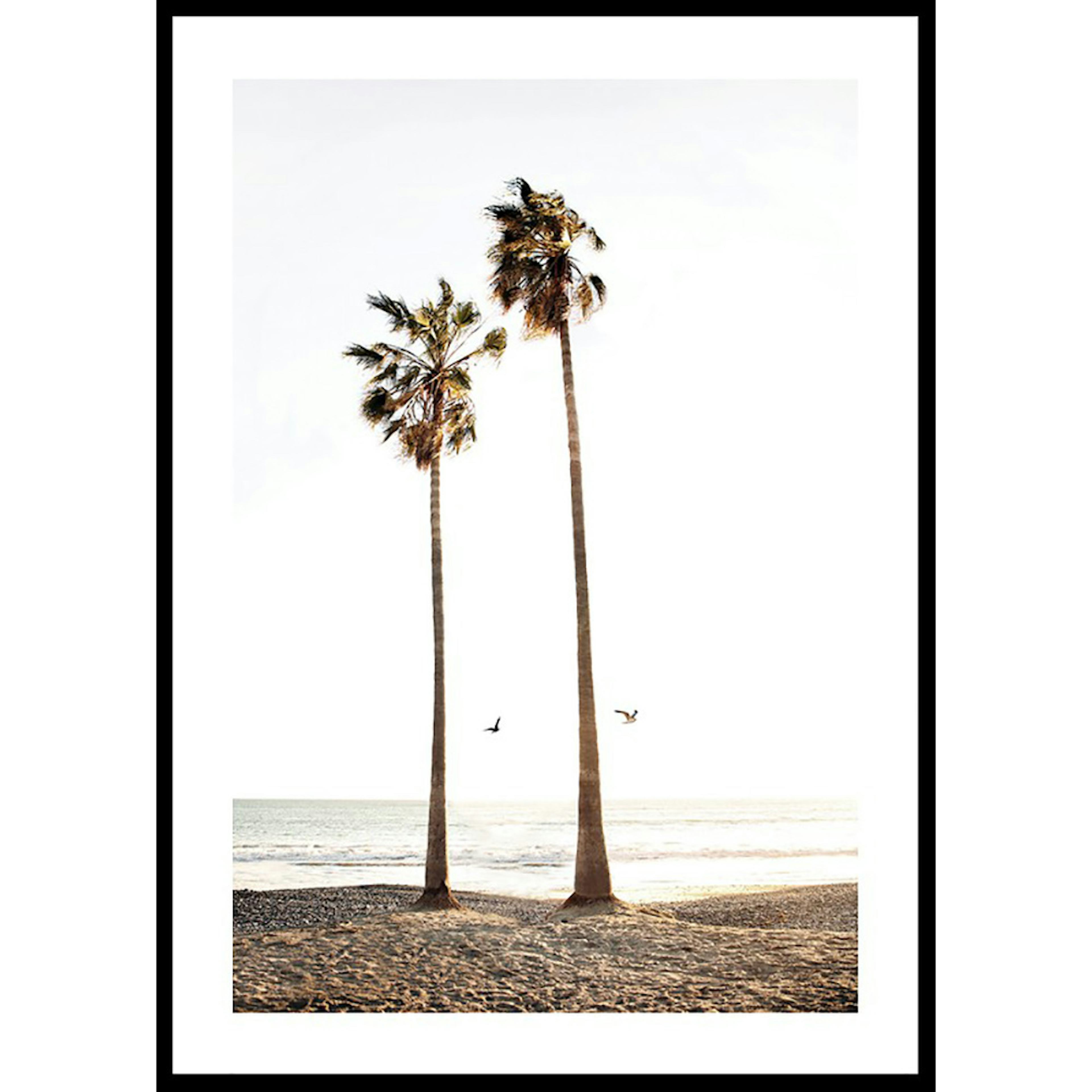 Poster Gallerix Paradise Palm Trees
