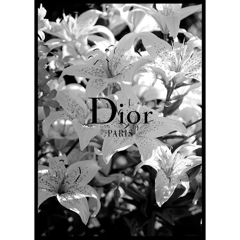 Poster Gallerix Dior Paris
