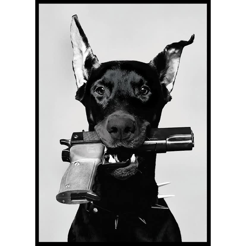 Poster Gallerix Loaded Dog