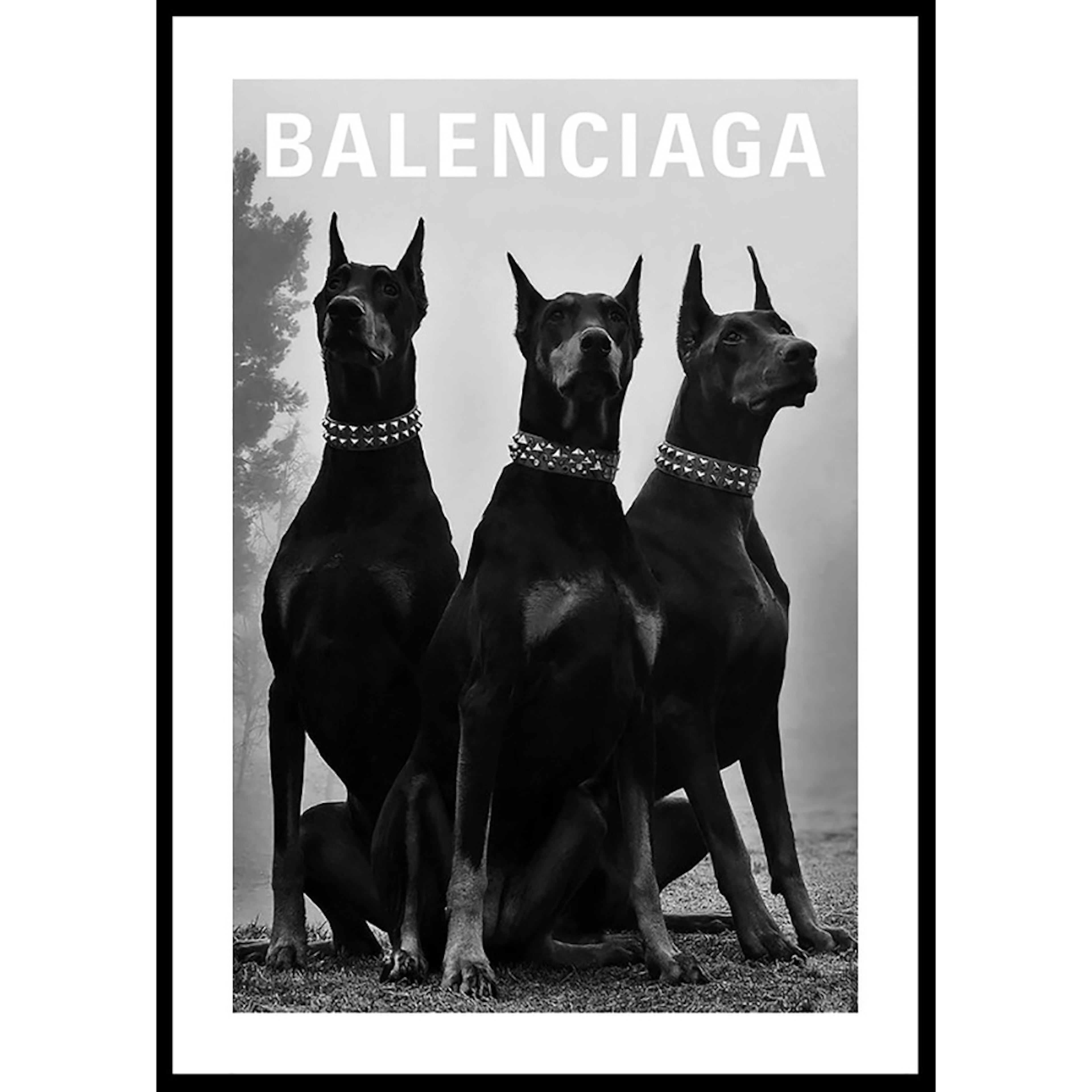 Poster Gallerix Balenciaga Fashion