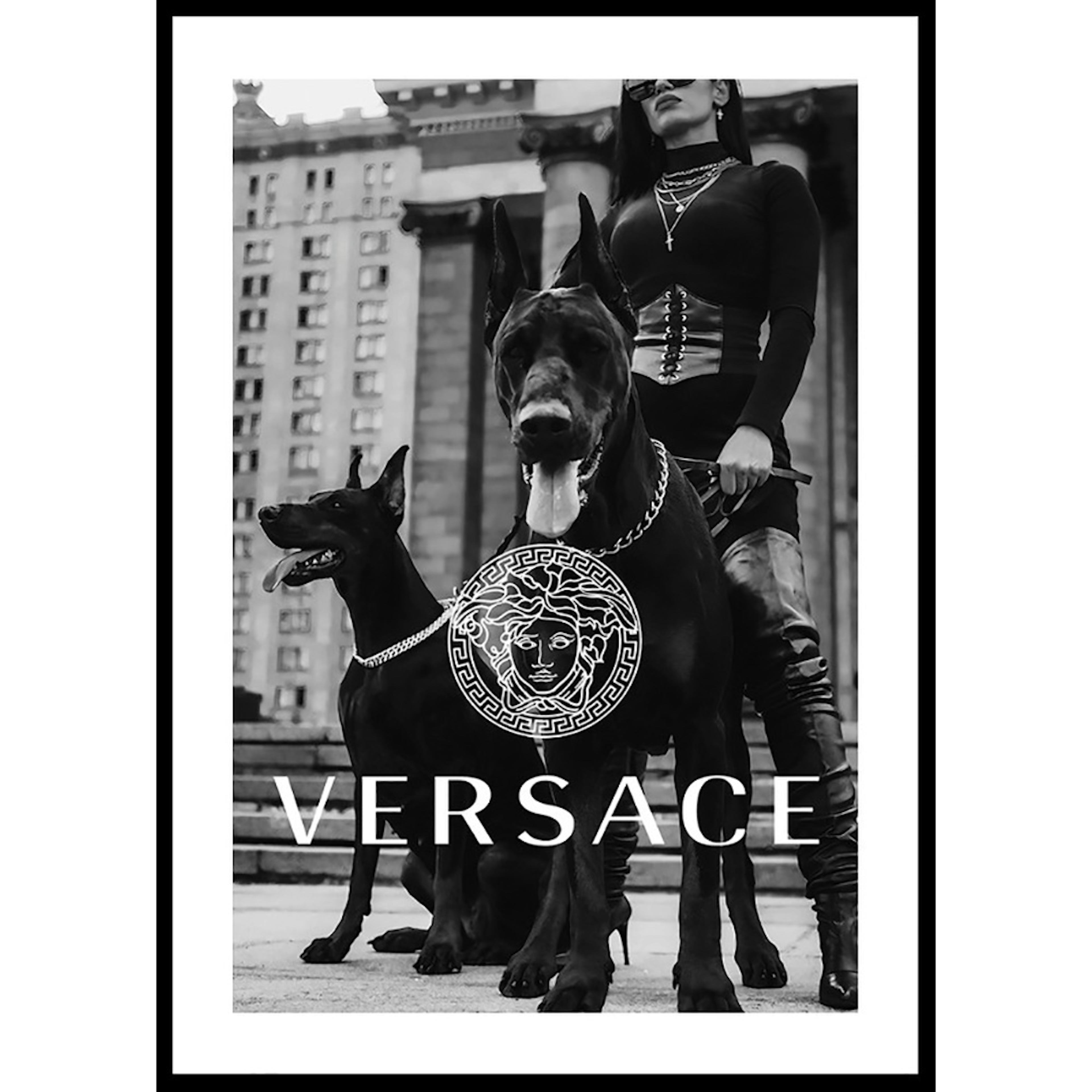 Poster Gallerix Versace Fashion
