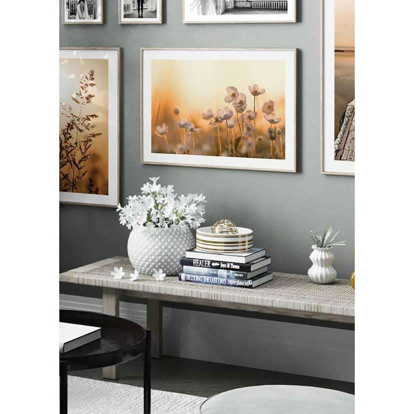 Poster Gallerix Wild Anemone In Sunset