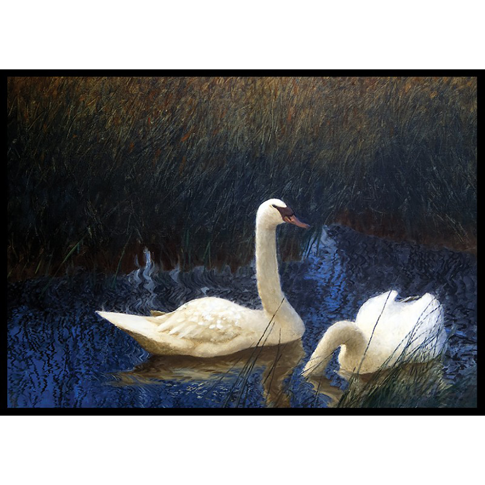 Poster Gallerix Svanar i Vass By Bruno Liljefors