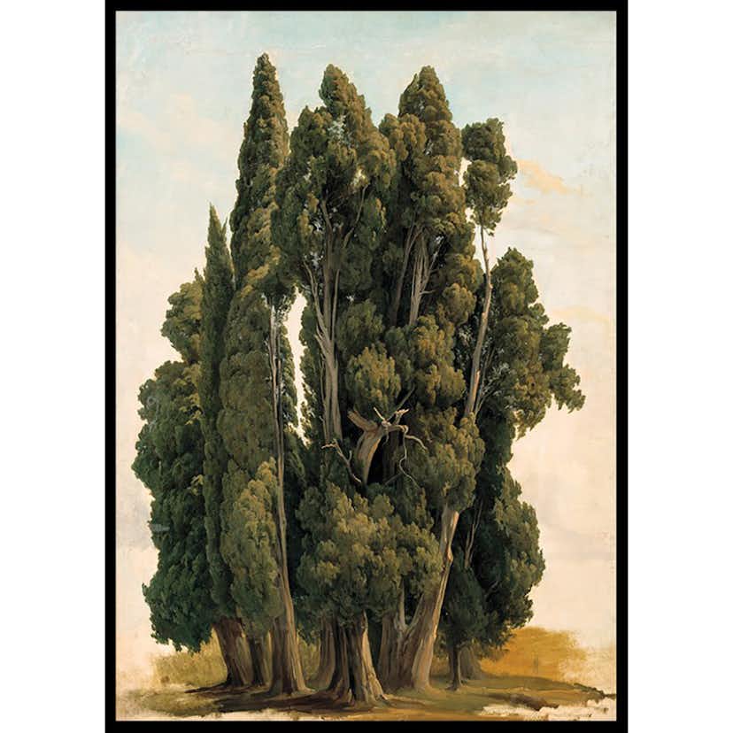 Poster Gallerix Villa d'Este By Gustaf Wilhelm Palm