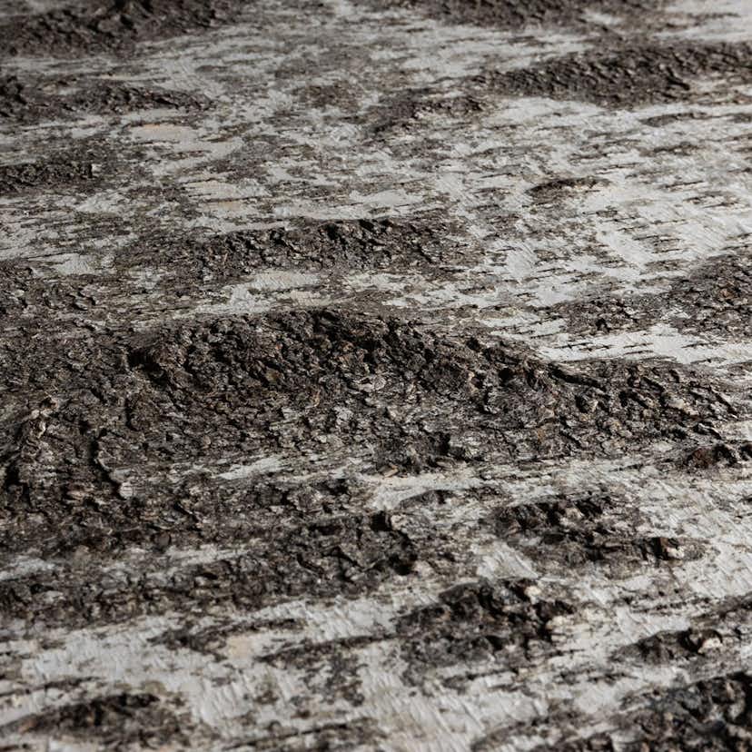 Väggpanel Emotionwood Birch 600