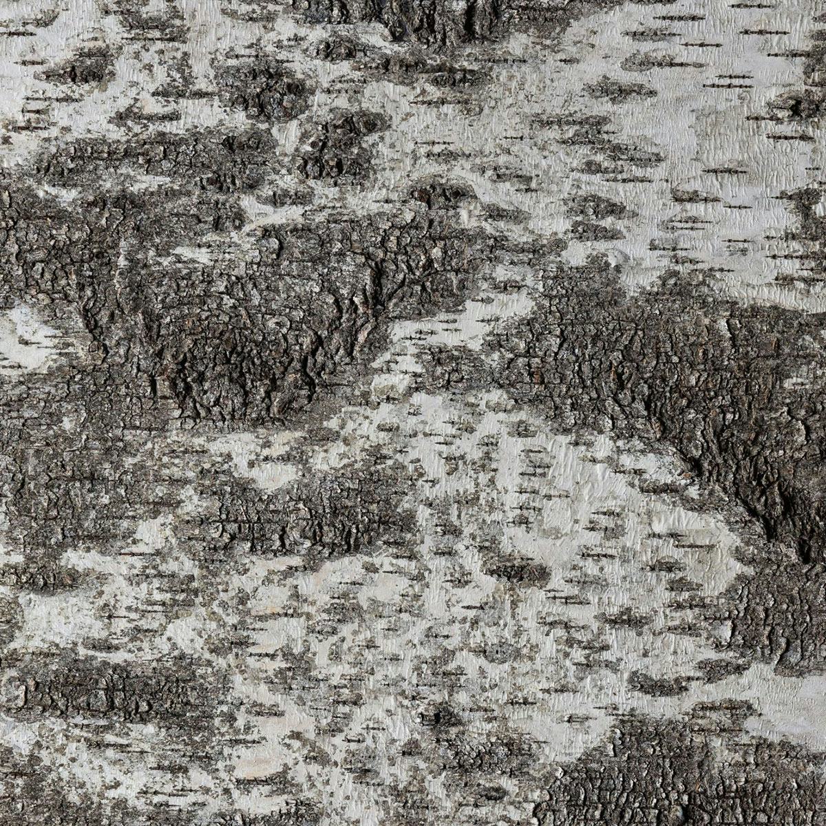 Väggpanel Emotionwood Birch 600