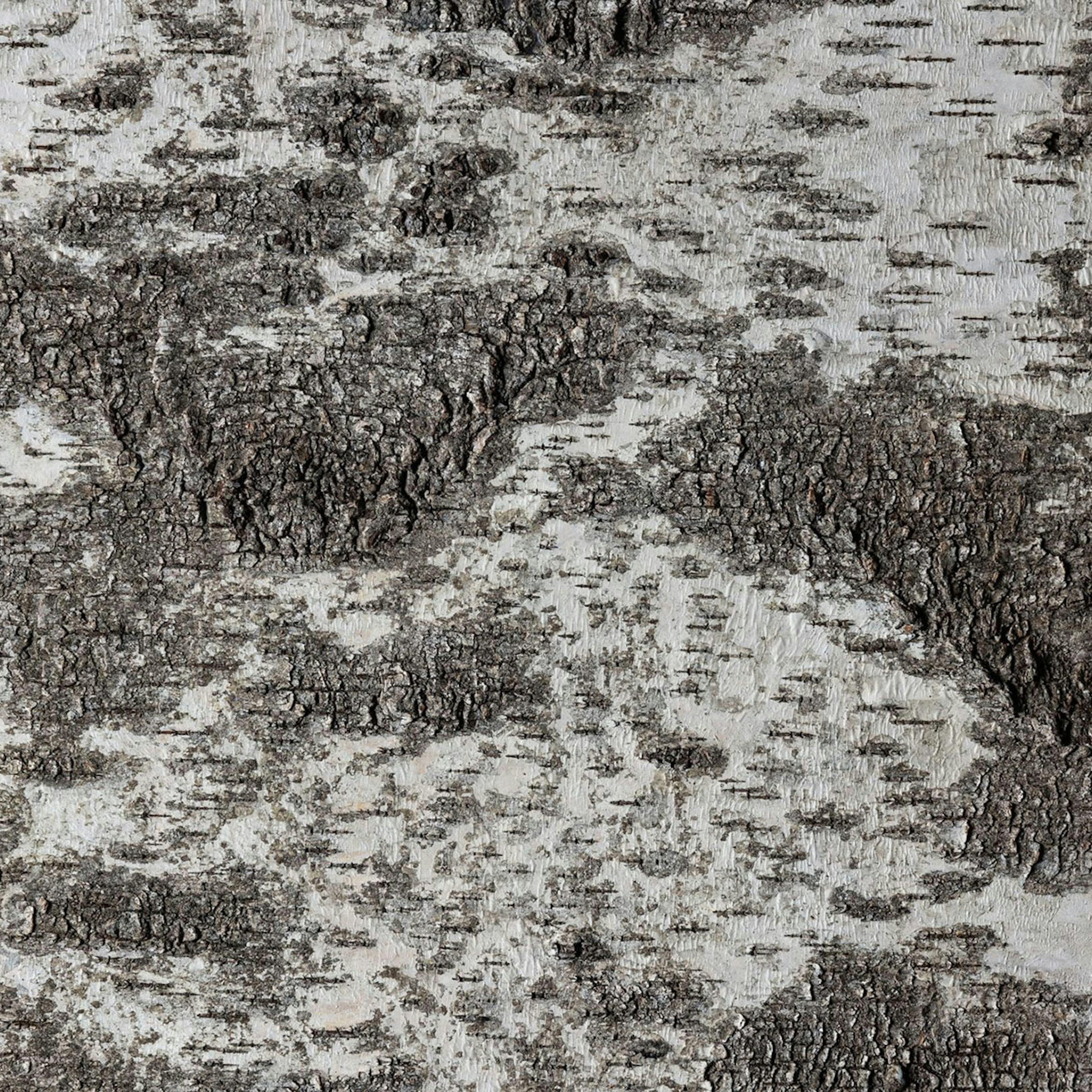 Väggpanel Emotionwood Birch 600