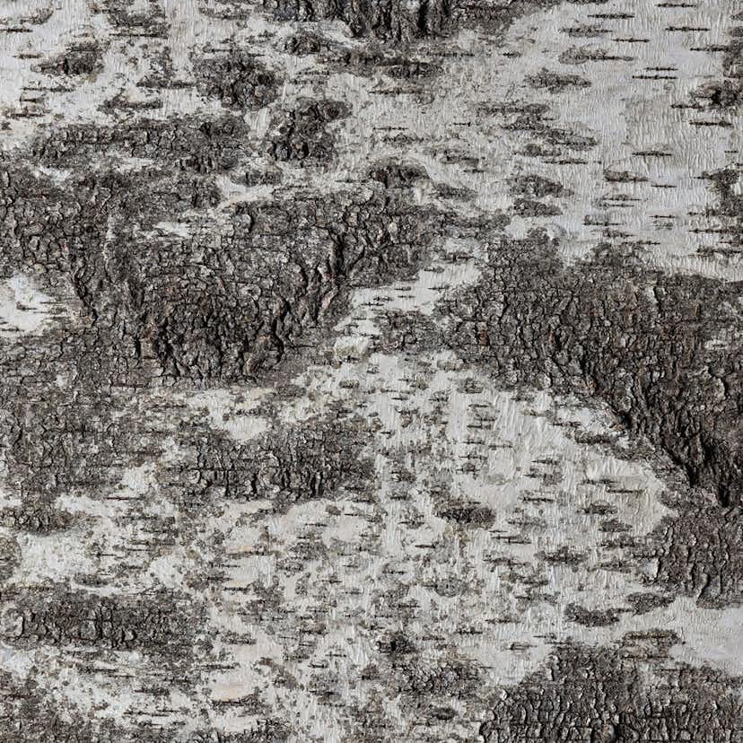 Väggpanel Emotionwood Birch 600