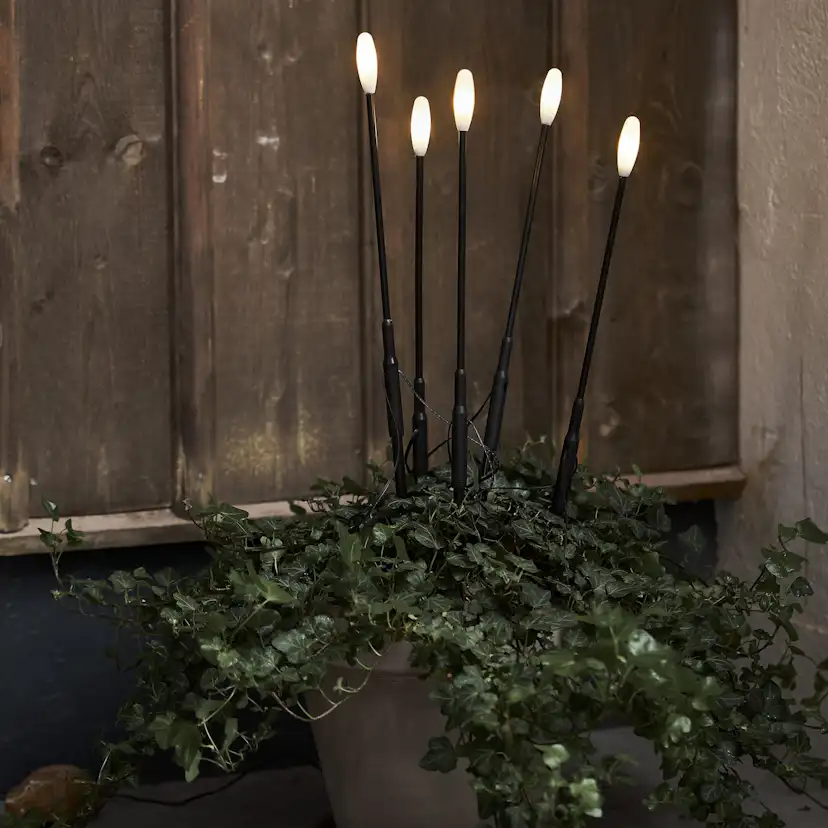 Utomhusdekoration Star Trading Milky Trädg Belys 5stLV