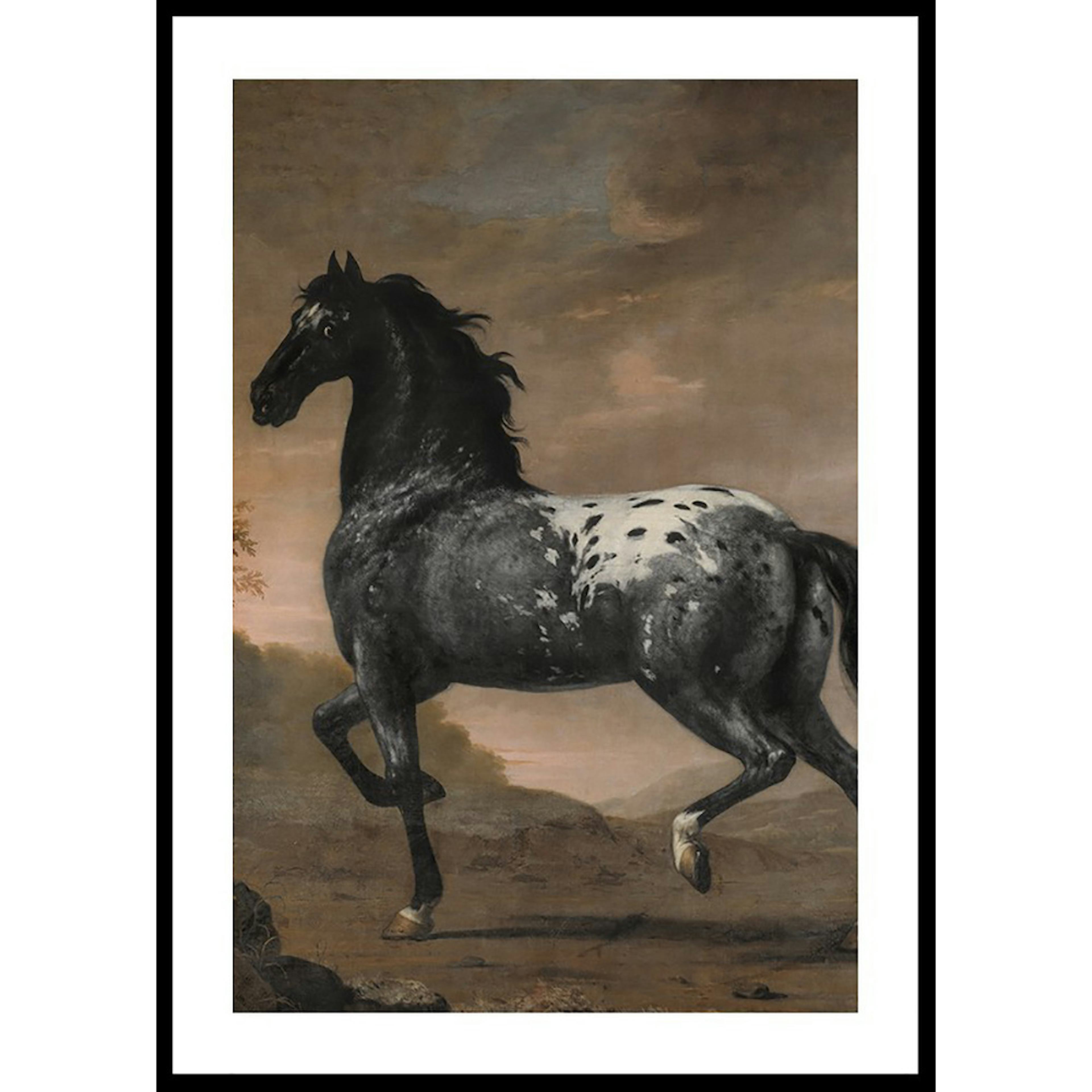 Poster Gallerix The Blue Tiger By David Klocker Ehrenstrah