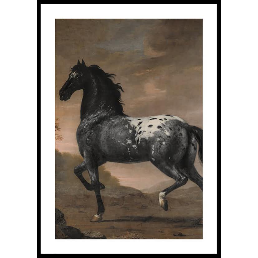 Poster Gallerix The Blue Tiger By David Klocker Ehrenstrah