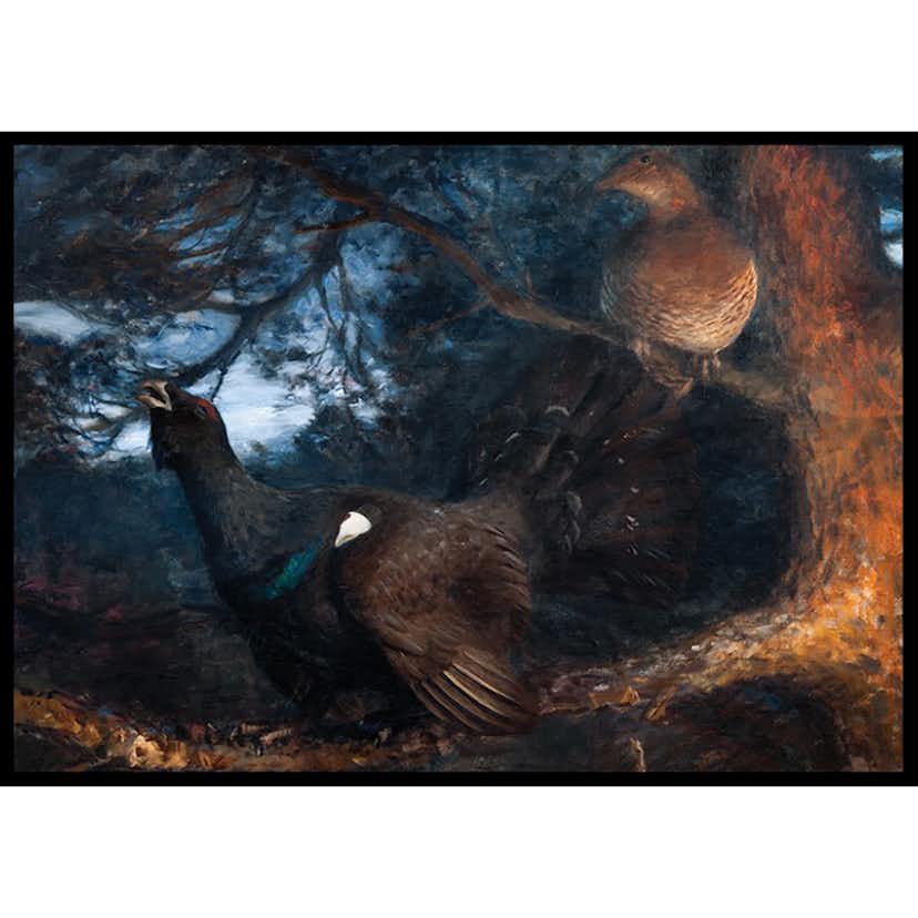 Poster Gallerix The Mating of the Capercaillies By Bruno Liljefors