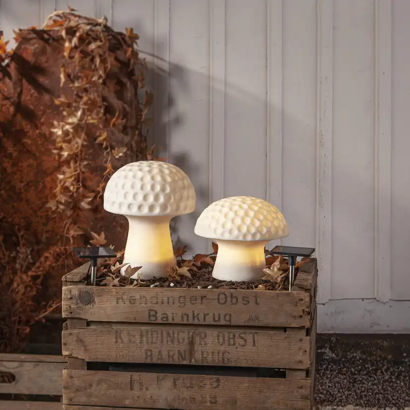 Solcellsdekoration Star Trading Sandy